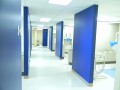 LSU Dental School