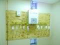 LSU Dental School